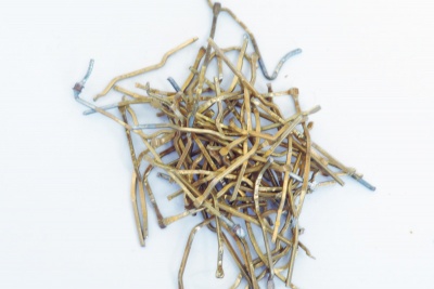 рппм16 контакты кг  рппм16 контакты кг